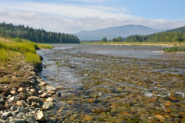 Kuzey Nehri temizlemek. 