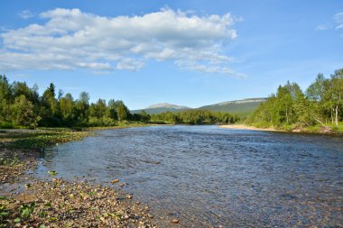 Tayga Nehri Kuzey Urallarda. 