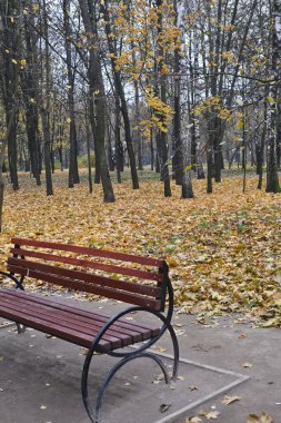 Sonbahar parkında bankta. 