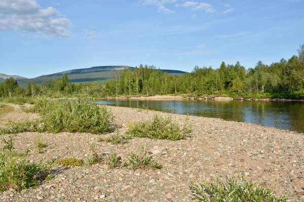 Nettoyer la rivière Nord . — Photo