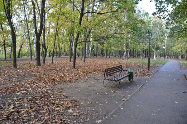 Bench in the autumn Park. — Stock Photo, Image