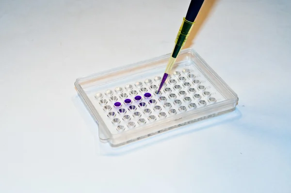 In biological research laboratories. — Stock Photo, Image