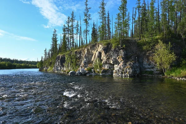 Taiga Zwischen Den Virgin Komi Wäldern Nördliche Wasserlandschaft — Stockfoto