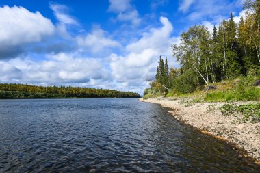 Bakire Komi ormanlarının arasındaki Tayga nehri. Kuzey suları yaz manzarası