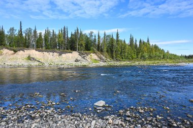 Bakire Komi ormanlarının arasındaki Tayga nehri. Kuzey suları yaz manzarası
