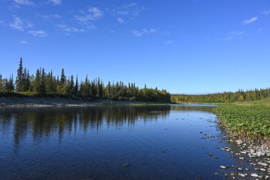 Bakire Komi ormanlarının arasındaki Tayga nehri. Kuzey suları yaz manzarası