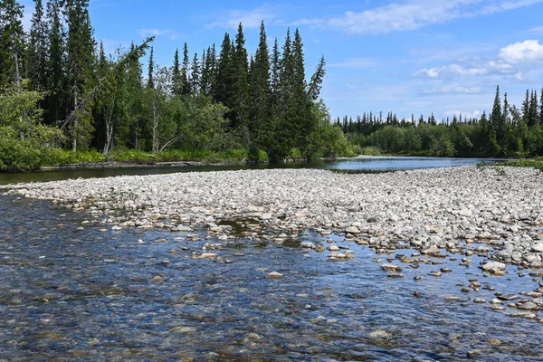 Taiga Zwischen Den Virgin Komi Wäldern Nördliche Wasserlandschaft — Stockfoto