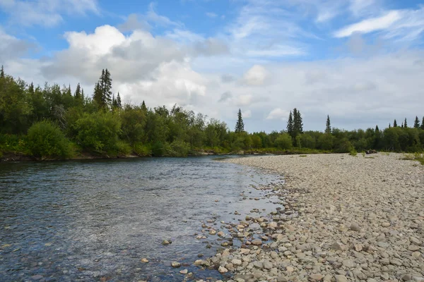 Río Taiga República Komi Agua Verano Paisaje Norte —  Fotos de Stock