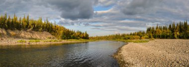 Tayga nehrinin panoraması. Kuzey Urallar 'daki Vahşi Nehir Komi Cumhuriyeti, Rusya.