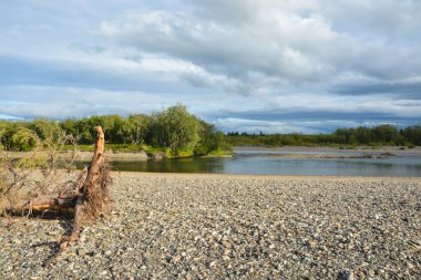 Tayga nehri. Bakire Komi Ormanları arasında su manzarası.
