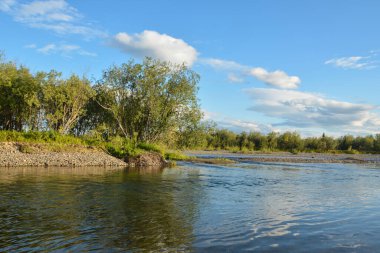 Tayga nehri. Bakire Komi Ormanları arasında su manzarası.