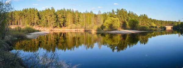 Voorjaar Panorama Van Het Beschermde Bos Rivier Rivier Pra Het — Stockfoto