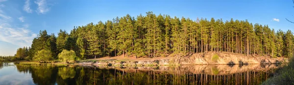 Voorjaar Panorama Van Het Beschermde Bos Rivier Rivier Pra Het — Stockfoto