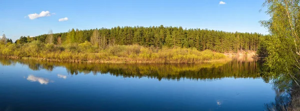 Voorjaar Panorama Van Het Beschermde Bos Rivier Rivier Pra Het — Stockfoto