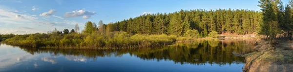 Panorama Primavera Del Río Bosque Protegido Río Pra Parque Nacional — Foto de Stock