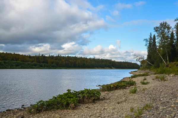 Taïga Paysage Aquatique Parmi Les Forêts Vierges Komi — Photo