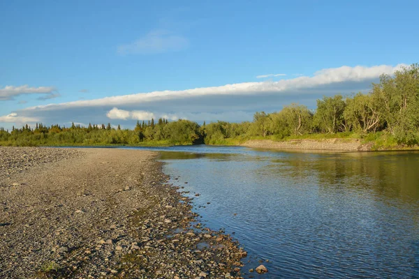 Fiume Taiga Paesaggio Acquatico Tra Foreste Della Vergine Komi — Foto Stock