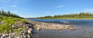 Kuzey nehrinin panoraması. Su manzarası, Kutup Urallarının doğu yamacındaki nehir..