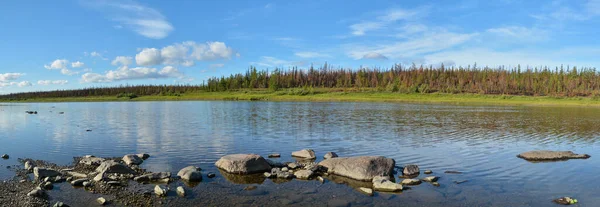 Kuzey Nehrinin Panoraması Manzarası Kutup Urallarının Doğu Yamacındaki Nehir — Stok fotoğraf