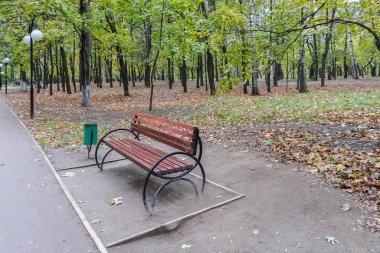 Sonbahar parkında bankta. Park bankı şehir parkında yapraklarla çevrili..