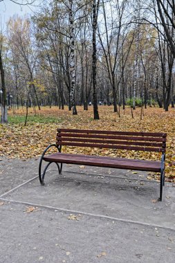 Sonbahar parkında bankta. Park bankı şehir parkında yapraklarla çevrili..