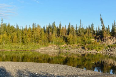 Yaz nehri manzarası. Kuzey taygası terk edilmiş nehir..