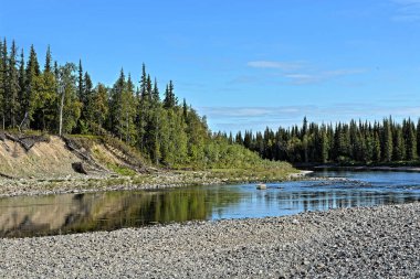 Yaz nehri manzarası. Kuzey taygası terk edilmiş nehir..