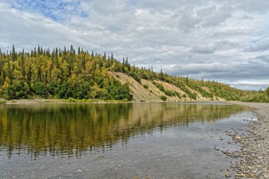 Yaz nehri manzarası. Kuzey taygası terk edilmiş nehir..