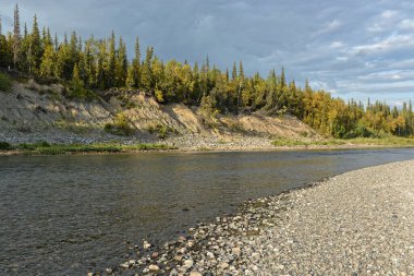 Yaz nehri manzarası. Kuzey taygası terk edilmiş nehir..