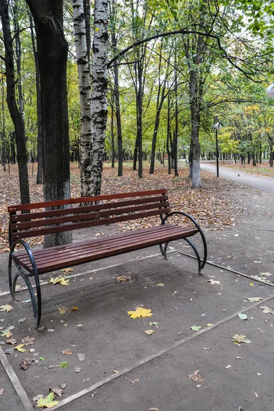 Sonbahar parkında bankta. Park bankı şehir parkında yapraklarla çevrili..