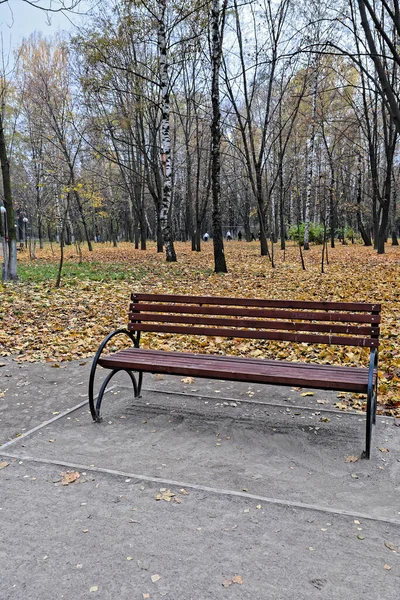 Sonbahar parkında bankta. Park bankı şehir parkında yapraklarla çevrili..