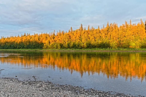 Summer River Landscape Northern Taiga Deserted River — Stock Photo, Image