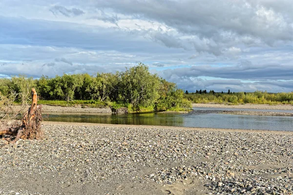 Sommerliche Flusslandschaft Nördliche Taiga Verlassen — Stockfoto