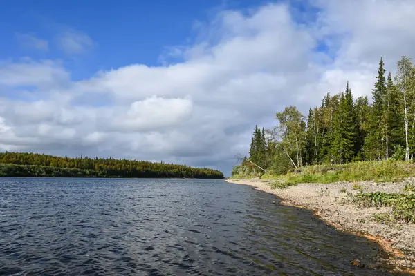 River Northern Taiga Summer Water Landscape Komi Republic Russia — Stock Photo, Image
