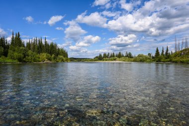 Tayga nehrinde. Kuzey ormanlarında yaz suyu manzarası.