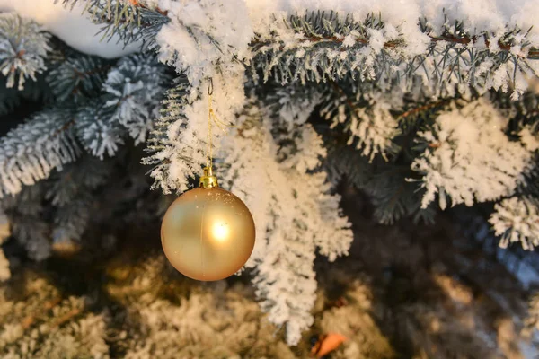 Natal Ano Novo Uma Bola Vidro Pendura Abeto Coberto Neve — Fotografia de Stock