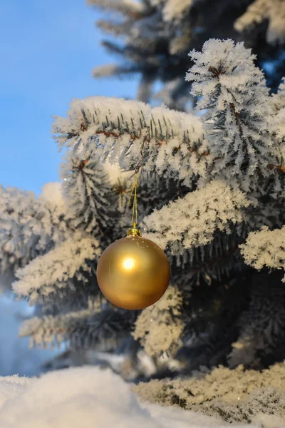 Kerstmis Nieuwjaar Een Glazen Bal Hangt Aan Een Besneeuwde Dennenboom — Stockfoto