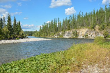 Issız ormanlarda vahşi bir nehir. Kuzey Rusya 'nın Avrupa kesiminde yaz suyu manzarası.