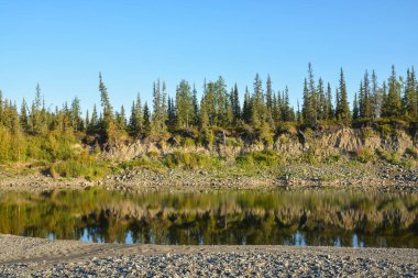Issız ormanlarda vahşi bir nehir. Kuzey Rusya 'nın Avrupa kesiminde yaz suyu manzarası.