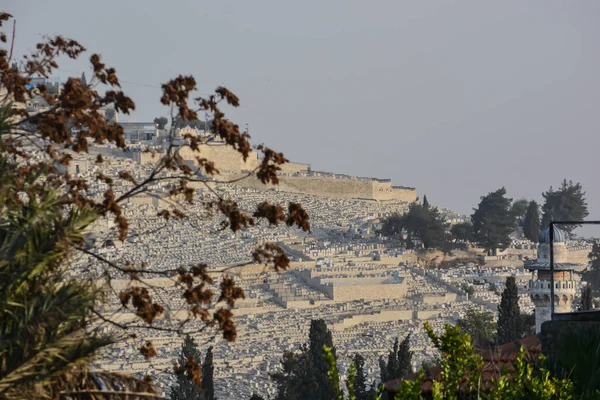 Monte Los Olivos Cerro Histórico Este Jerusalén — Foto de Stock