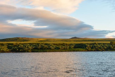 Kutup Uralları 'ndaki Tundra. Yamal 'daki doğal parkın yaz manzarası.