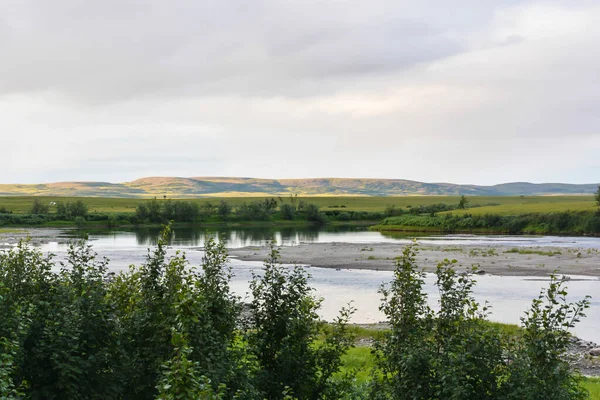 Tundra Ijszee Zomer Landschap Een Natuurlijk Park Yamal — Stockfoto