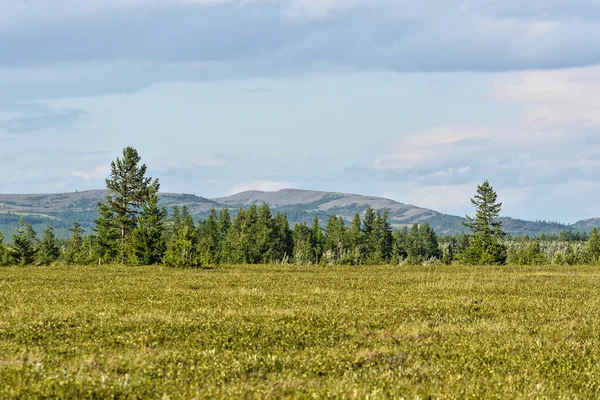 Tundra Polar Urals Summer Landscape Natural Park Yamal — Stock Photo, Image