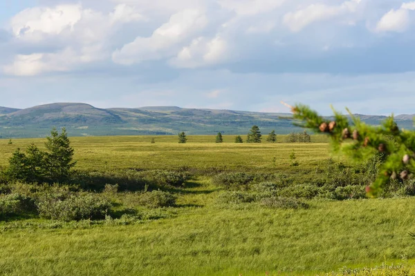 Tundra Polarnych Uralu Letni Krajobraz Parku Naturalnym Yamal — Zdjęcie stockowe