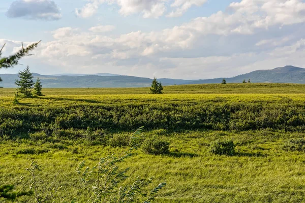 Die Tundra Polar Ural Sommerlandschaft Einem Naturpark Jamal — Stockfoto