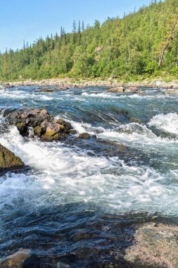 Kuzey nehrinde bir akıntı. Hızla akan beyaz suyla manzara.
