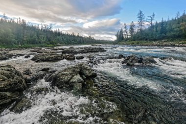 Kuzey nehrinde bir akıntı. Hızla akan beyaz suyla manzara.
