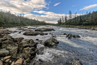 Kuzey nehrinde bir akıntı. Hızla akan beyaz suyla manzara.