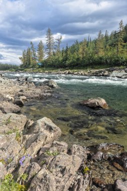 Kuzey nehrinde bir akıntı. Hızla akan beyaz suyla manzara.