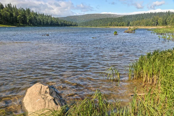 Florestas Virgin Komi Património Mundial Unesco Parque Nacional Yugyd Paisagem — Fotografia de Stock